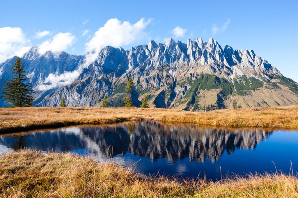 Landhaus Theresia Maria Alm am Steinernen Meer Zimmer foto